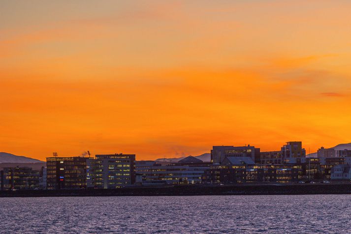 Brotið átti sér stað í Reykjavík í febrúar 2019.