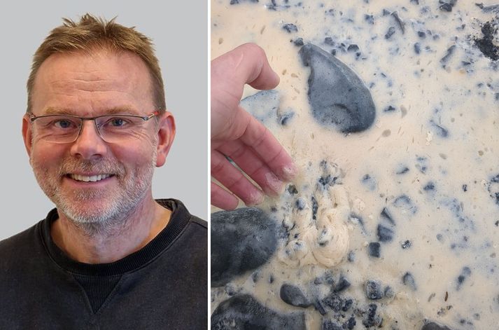 Þorsteinn Narfason, framkvæmdastjóri Heilbrigðiseftirlits Vesturlands, og ljósmynd sem var tekin í fjörunni í dag, að sögn Paul Watson-samtakanna.