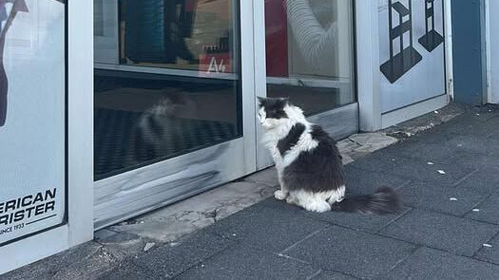Höfðinginn átti sig ekki á lokuninni