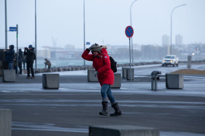 Það var afar hvasst í höfuðborginni í dag. Lægðin á morgun verður öllu rólegri.