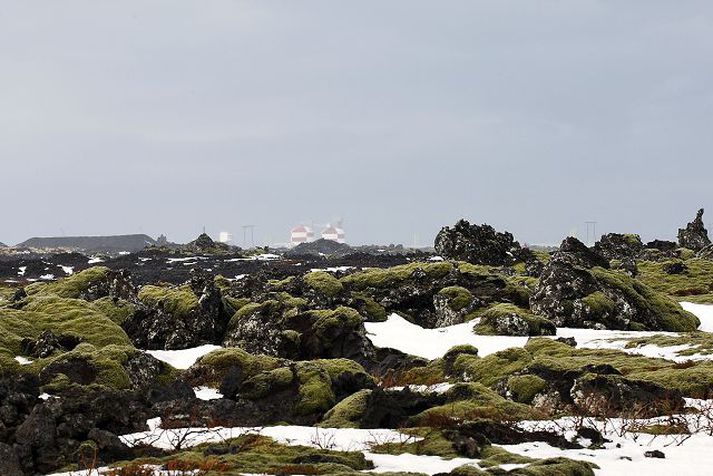 Í Kapelluhrauni. Þegar hefur verið skilað inn lóðum sem skipulagðar voru á landi sem Hafnarfjarðarbær tók eignarnámi af Skógrækt ríkisins í Kapelluhrauni.
Fréttablaðið/stefán