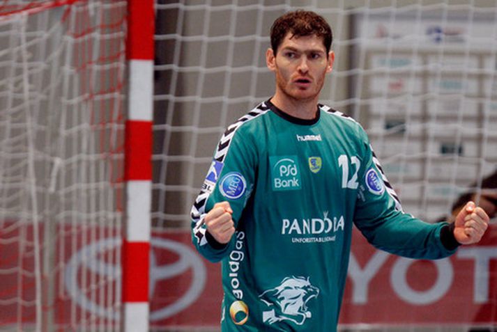 Henning Fritz, markvörður Rhein-Neckar Löwen.