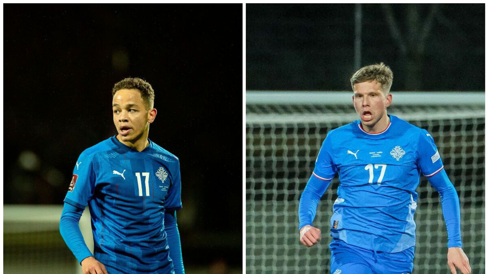 Mikael ekki með í leikjunum mikil­vægu og Logi er lasinn