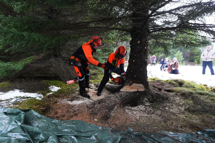 Heiða Björg örugg með vélsögina.