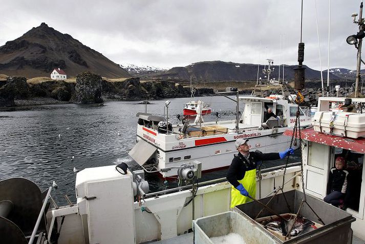 Breytingar Útvegsmenn segja lítið vit í að draga hundruð báta á sjó til strandveiða á meðan atvinnumenn í greininni sitji atvinnulausir vegna skorts á aflaheimildum. Fréttablaðið/stefán
