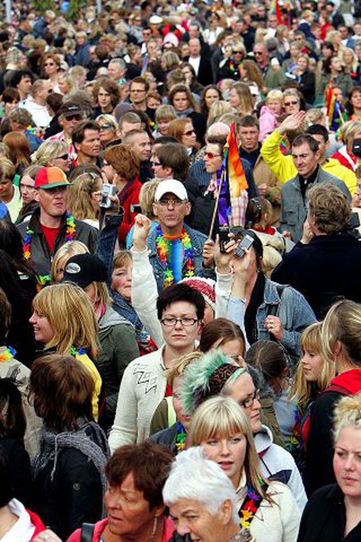 Dagskrá Hinsegin daga 2007 hefst í dag. Hápunktur hennar verður Gleðigangan næstkomandi laugardag, en hátíðinni lýkur með forsýningu á Hairspray.