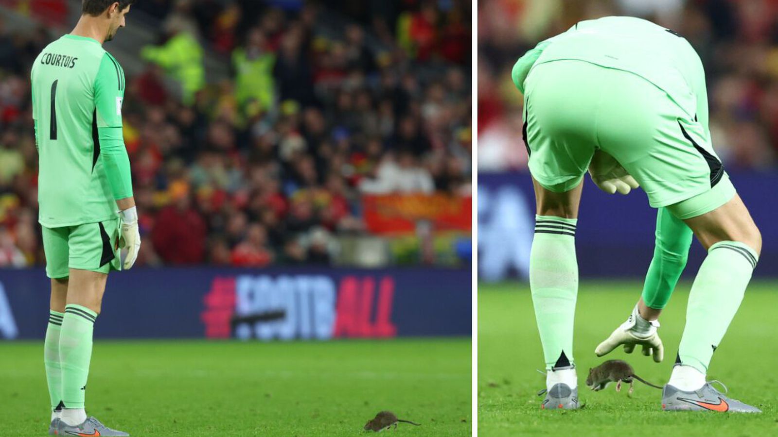 Courtois greip í tómt þegar rotta hljóp inn á völlinn