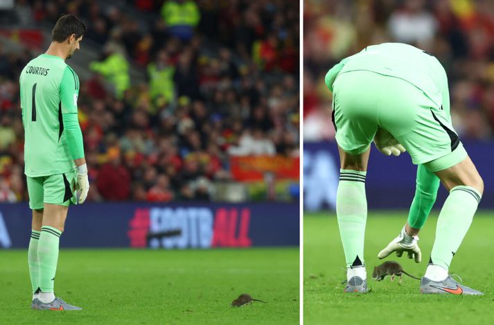 Courtois náði ekki rottunni í Cardiff.