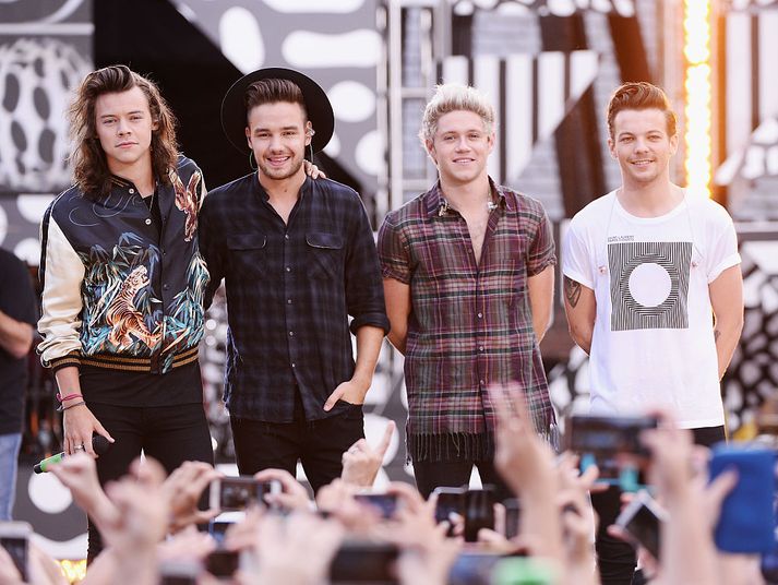 Félagarnir Harry, Liam, Niall og Louis.