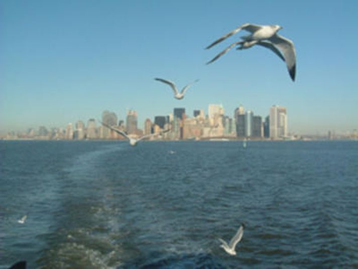 Sjórinn við Manhattan í New York.