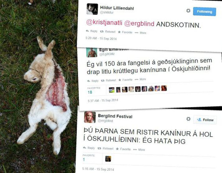 Hér má sjá það sem Hildur, Berglind og Egill sögðu um kanínudrápið á Twitter.