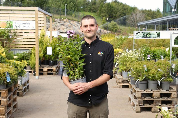 Jakob Axel Axelsson garðyrkjufræðingur gefur lesendum Vísis góð ráð varðandi garðinn í sumar.