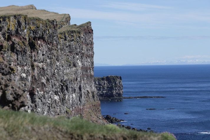 Fjölskrúðugt fuglalíf er að finna í Látrabjargi á Vestfjörðum.