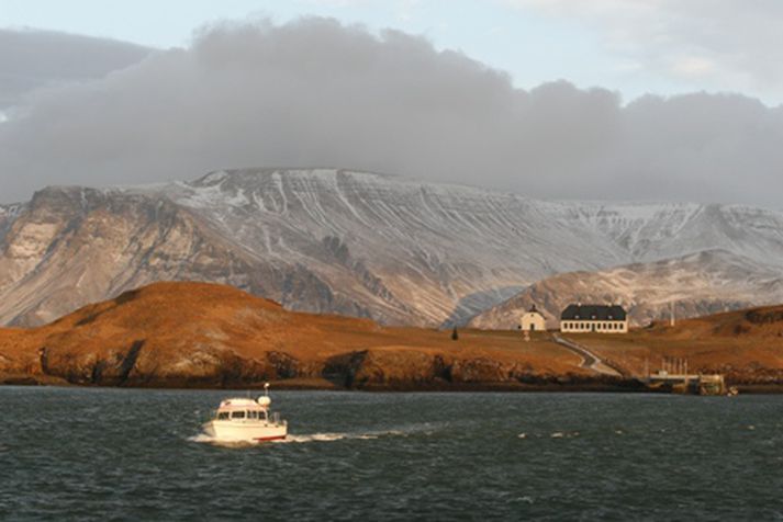 Viðey. Mynd úr safni.