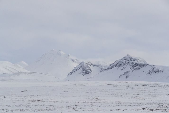 Kaltjónið olli mikilli uppskerurýrnun sumarið 2020 og samhliða verulegur kostnaður við endurræktun og fóðurkaup.