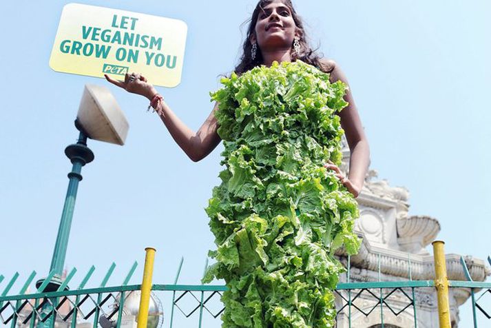 Grænmetisætur. Athugið að myndin tengist ekki fréttinni beint.