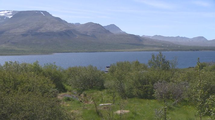 Viðbragðsáætlanir hafa verið gerðar á undanförnum árum vegna gróðurelda í sumarhúsabyggðum eins og í Skorradal.