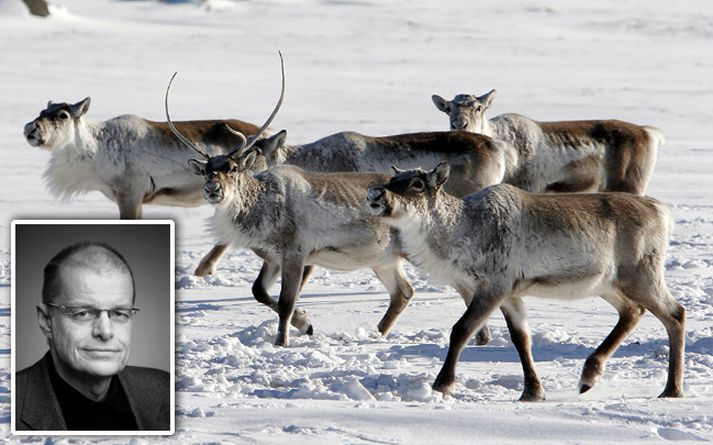 Stefán Sigurðsson, lektor við Háskólann á Akureyri, telur talsverða vaxtamöguleika vera í þjónustu við hreindýraveiðar.