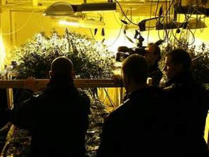 Kannabisverksmiðja Mennirrnir voru búnir að koma sér upp öflugri verksmiðju með fullkomnum búnaði. 
Mynd  úr safni.