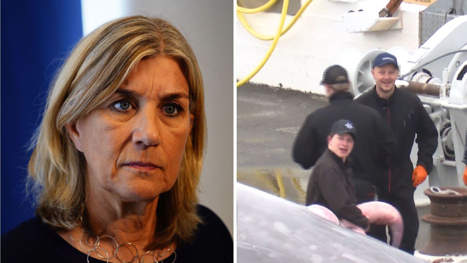 „Hagið ykkur eins og full­orðið fólk“