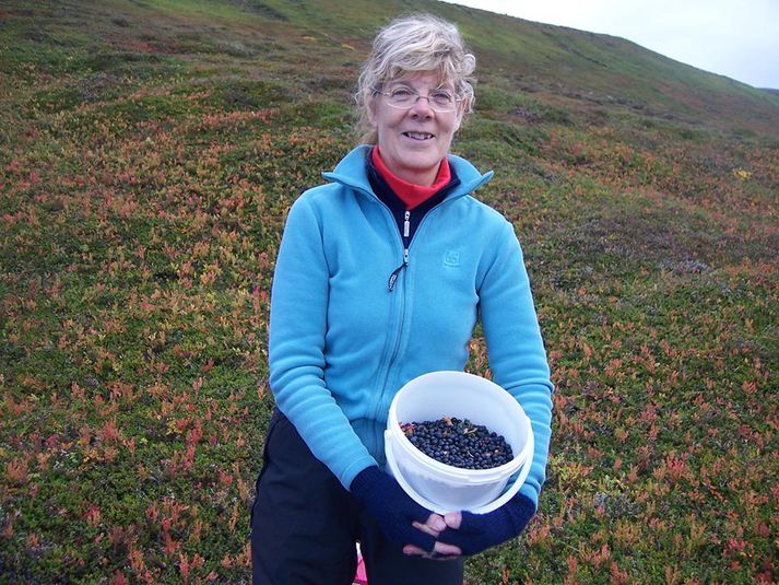Inga Þórunn við bláberjatínslu nærri Húsavík.