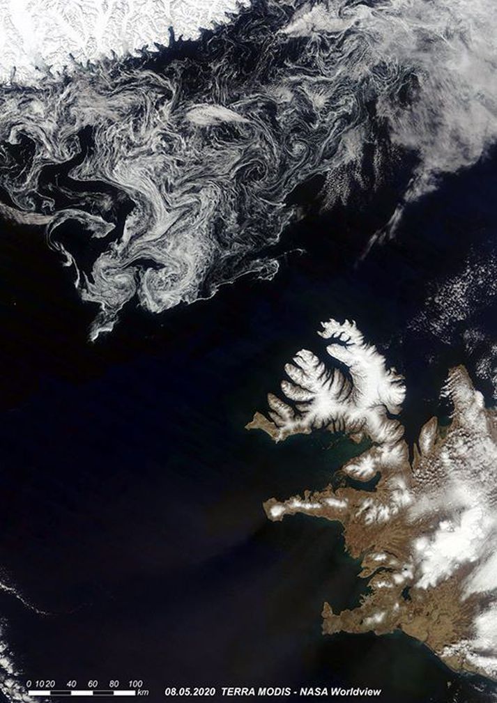 Eldfjallafræði- og náttúruvárhópur HÍ birti þessa mynd frá NASA í gær. Þarna sést hafísinn sem er á reki á milli Íslands og Grænlands vel.