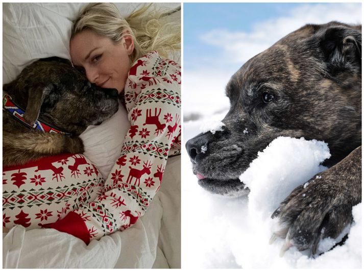 Bandaríska skíðakonan Lindsey Vonn með hundinn sinn Leo sem er nú allur.