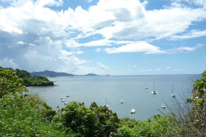 Frá eyjunni Mayotte í Comoros eyjaklasanum.