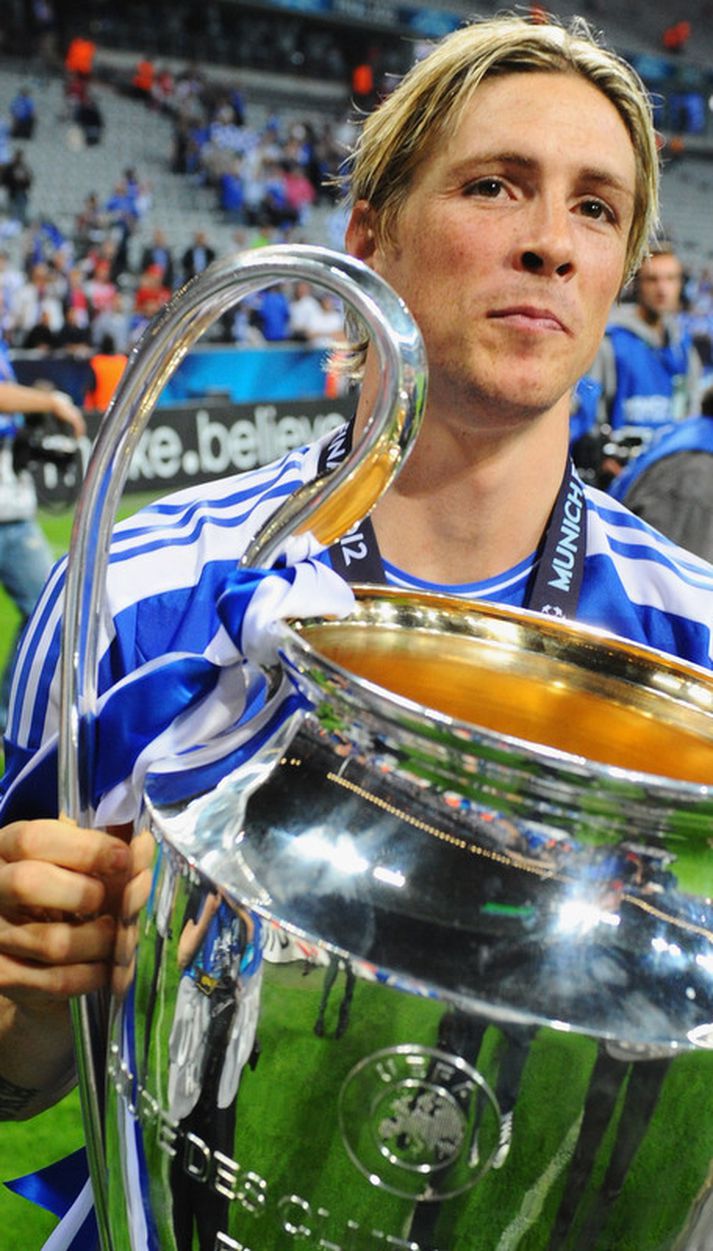 Fernando Torres varð markakóngur á Evrópumótinu í sumar.