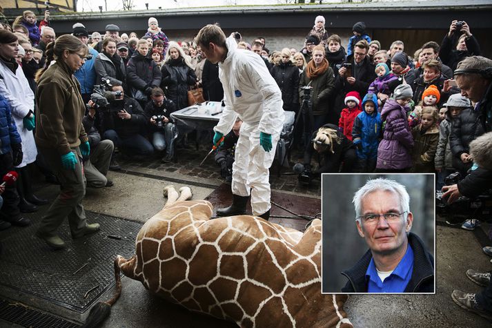 Árni segir fjölmörg dýr í verksmiðjubúskap þurfa að þola slæman aðbúnað áður en þau séu gefin dýrum í dýragörðum.