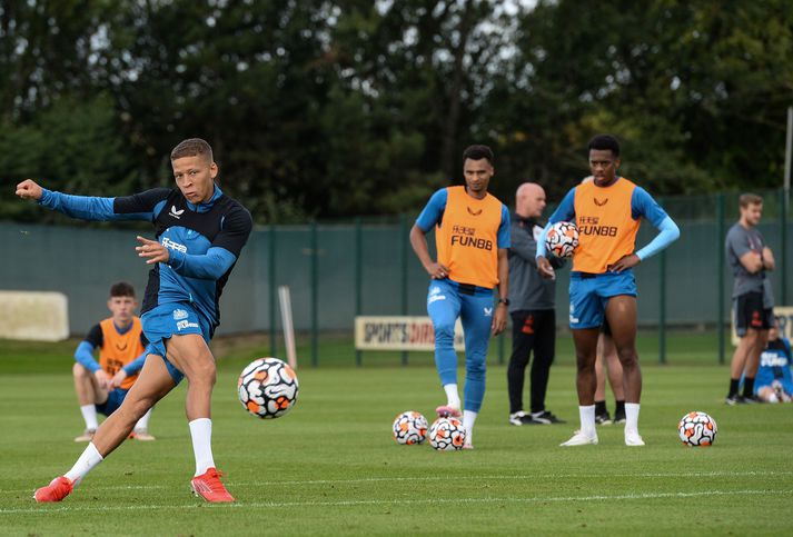 Dwight Gayle lét aðstoðarþjálfara Newcastle United heyra það.