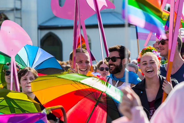 Áður hafa bæjarstjórnir í Hafnarfirði og Árborg samþykkt að ráðast í sambærilegt átak.