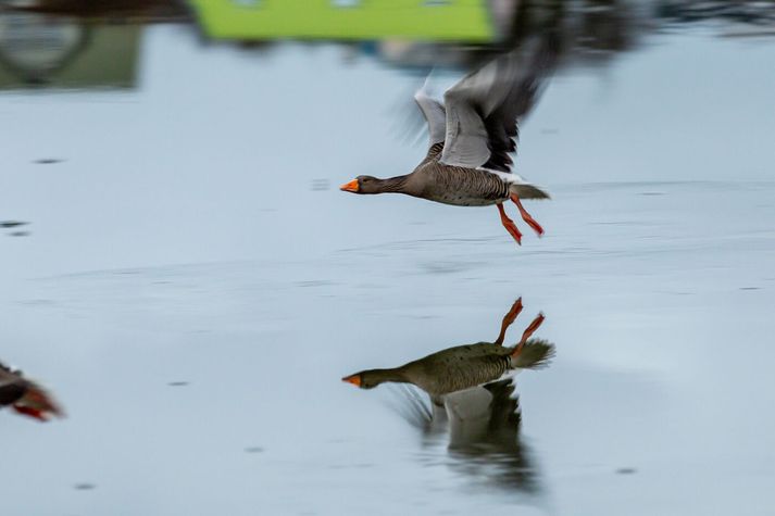 Hiti á landinu verður víða í kringum frostmark en öllu kaldara norðan- og austantil. 