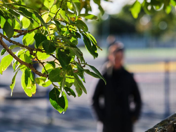 Móðirin, sem kemur fram undir nafnleynd til að vernda barn sitt, lýsti því sem nýju áfalli að sjá Hannes Valle Þorsteinsson fyrir utan heimili sitt. Í almennum svörum vegna málsins segir Fangelsismálastofnun dagsleyfi háð samþykktri dagskrá og skilyrðum sem geti takmarkað ferðir fanga og samskipti þeirra við aðra.