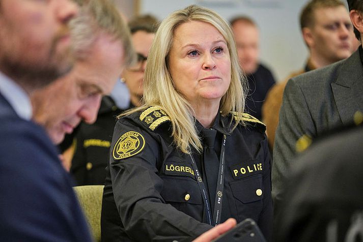 Sigríður Björk Guðjónsdóttir ríkislögreglustjóri segir íslenska innviði undir stöðugum árásum frá erlendum netárásarhópum. 