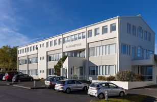 Fréttamynd