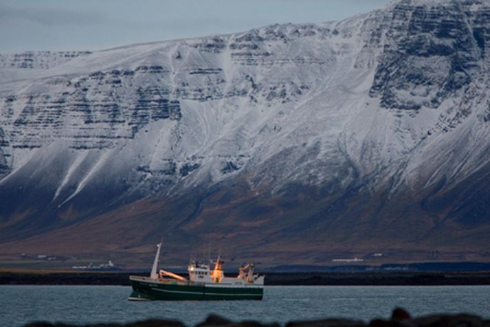 Framkvæmdastjórnin reifaði mögulegar leiðir í stað reglunnar um hlutfallslegan stöðugleika. Mynd/ vilhelm.