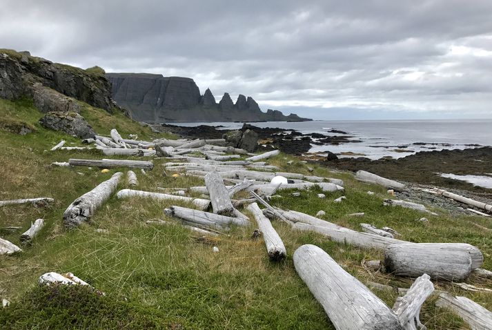 Útsýni til Drangaskarða er hvergi fallegra en úr Drangavík en fjaran er einnig spennandi.