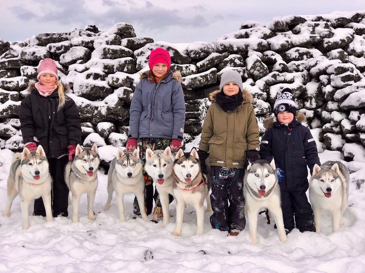 Tara Lovísa, Aðalbjörg Birna, Jóhann Patrik og Jökull Myrkvi ásamt hundunum sjö