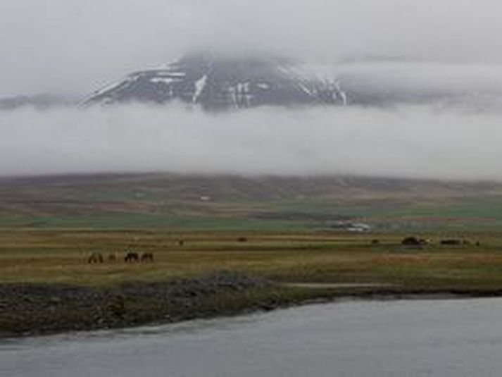 Frá Skagafirði. Borgarafundur sem haldin var í dag mótmælir harðlega skerðingu til stofnanna í Skagafirði.