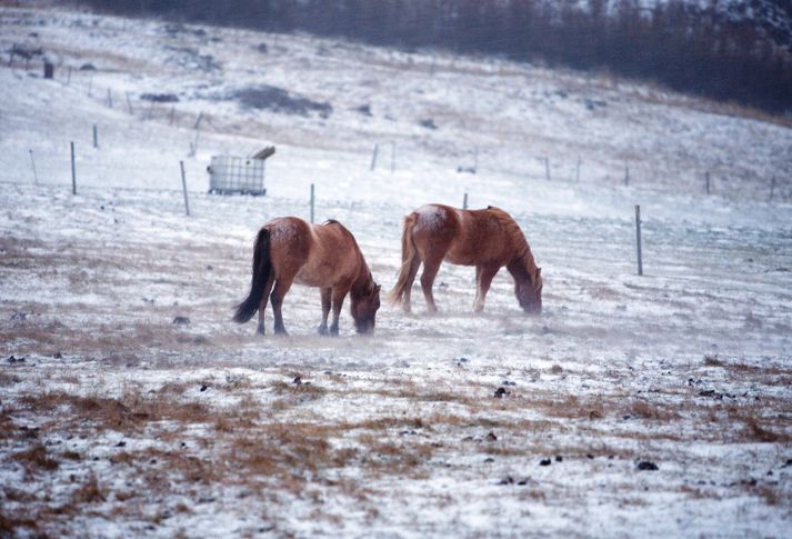 Vetur á Norðurlandi. Myndin er úr safni.