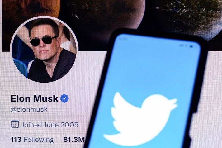 Elon Musk vill eignast Twitter.