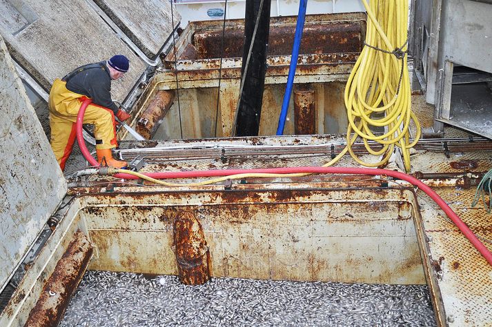 Arðsemi sjávarútvegsfyrirtækja dróst saman milli áranna 2012 og 2013.