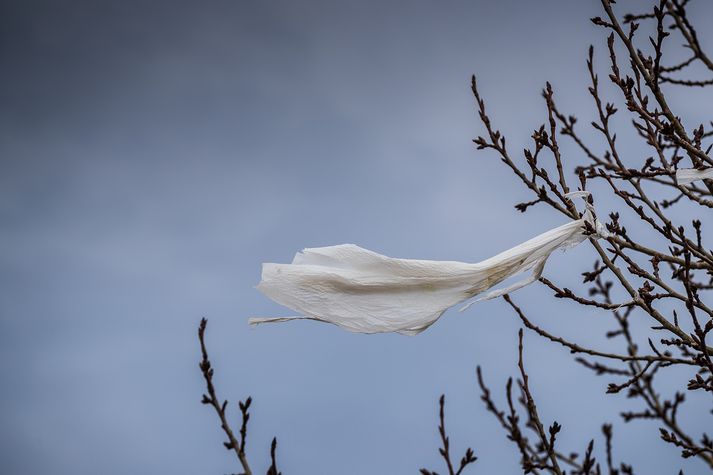 Um er að ræða breytingar á lögum um hollustuhætti og mengunarvarnir, en með frumvarpinu er innleidd Evróputilskipun sem lýtur að því að draga úr notkun á þunnum plastpokum.