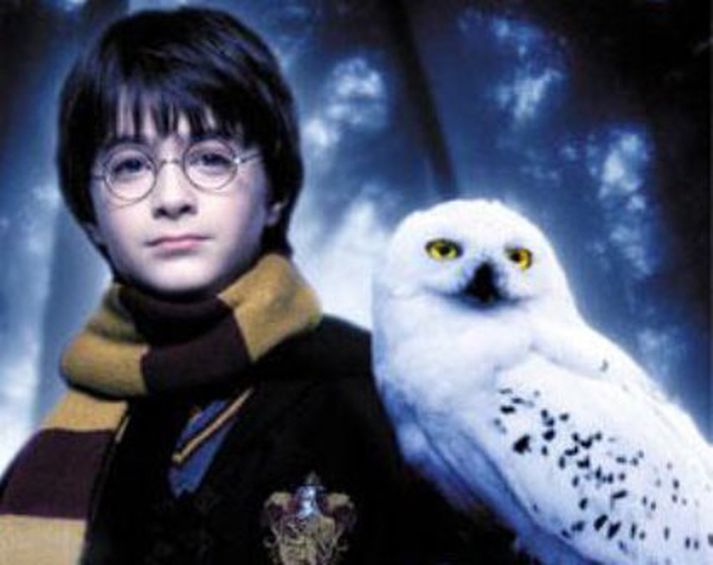 Harry og Hedwig.
