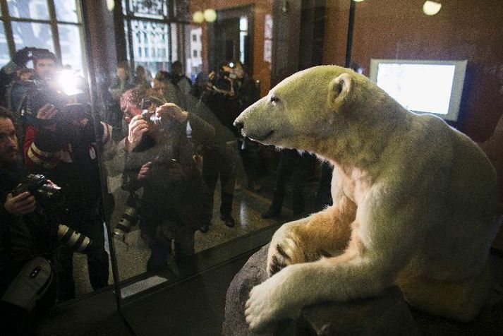 Knútur lést einungis fjögurra ára gamall í mars 2011 eftir glímu við heilabólgu. Mynd/AP