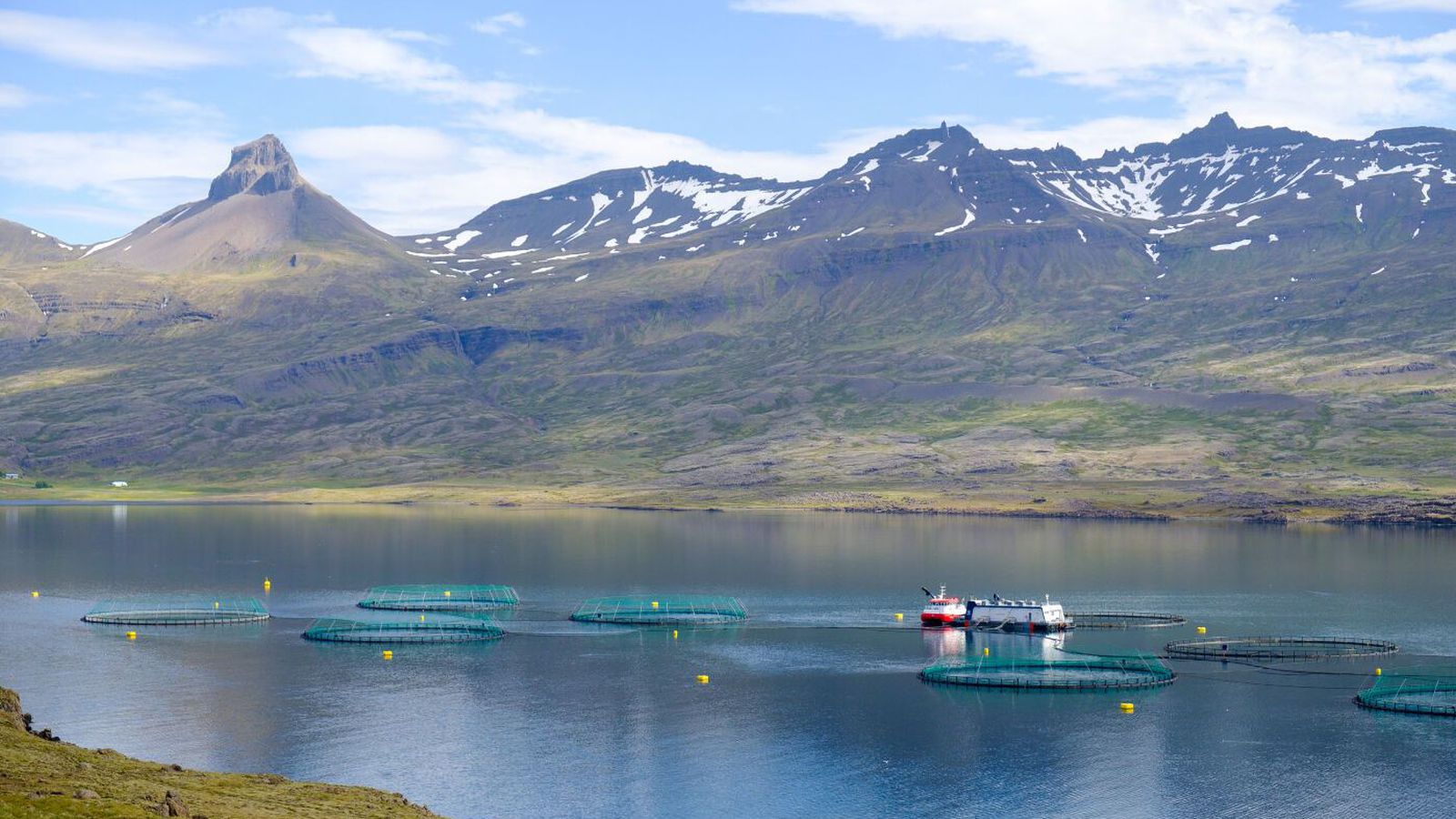 Kaldvík sett í skammar­krókinn í Ósló