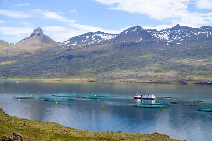 Kaldvík rekur sjókvíaeldi á austfjörðum, meðal annars í Berufirði.