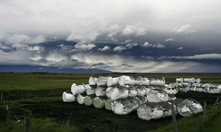 aska féll víða Öskufalls varð vart allt vestur á Snæfellsnes í gær. Þessi mynd var tekin í Fljótshlíðinni, þar sem öskulag hafði sest á heyrúllur.frettabladid/Pjetur