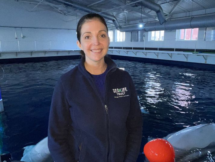 Audrey Padgett starfsmaður Sea Life-sjóðsins og framkvæmdastjóri Sædýrasafnsins í Vestmanneyjum með Liltu grá og Litlu hvít.